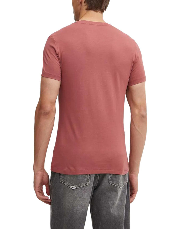 CALVIN KLEIN MENS MIXED INSTITUTIONAL T-SHIRT APPLE BUTTER-Designer Outlet Sales