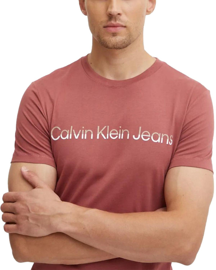 CALVIN KLEIN MENS MIXED INSTITUTIONAL T-SHIRT APPLE BUTTER-Designer Outlet Sales